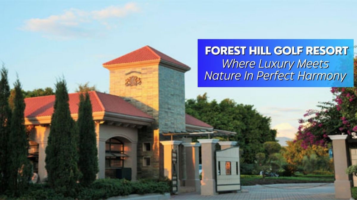 Forest Hill Resort: Where Luxury Meets Nature in Perfect Harmony